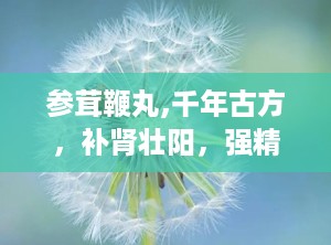 参茸鞭丸,千年古方，补肾壮阳，强精增髓的神奇疗效