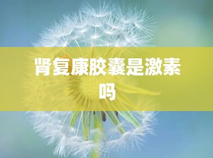 肾复康胶囊是激素吗