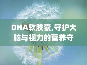 DHA软胶囊,守护大脑与视力的营养守护神