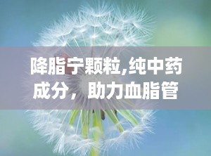 降脂宁颗粒,纯中药成分，助力血脂管理，守护心血管健康
