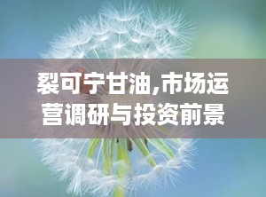 裂可宁甘油,市场运营调研与投资前景分析报告（2024-2030年）