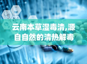 云南本草湿毒清,源自自然的清热解毒良方