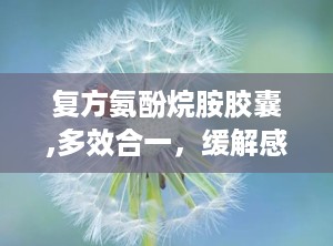 复方氨酚烷胺胶囊,多效合一，缓解感冒不适的便捷选择