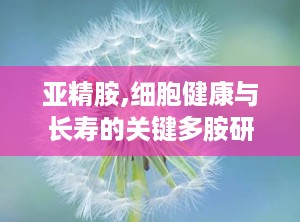 亚精胺,细胞健康与长寿的关键多胺研究进展