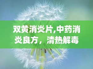 双黄消炎片,中药消炎良方，清热解毒，缓解多种不适