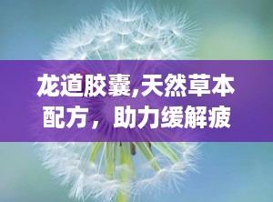 龙道胶囊,天然草本配方，助力缓解疲劳与增强体质