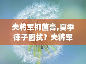 夫将军抑菌膏,夏季痱子困扰？夫将军抑菌膏助您轻松应对