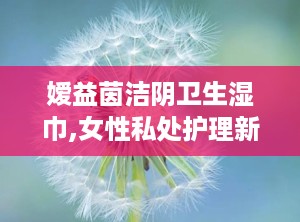 嫒益茵洁阴卫生湿巾,女性私处护理新选择，守护女性健康生活”