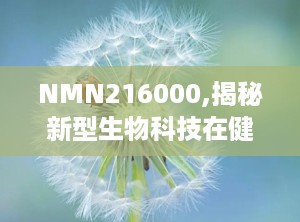 NMN216000,揭秘新型生物科技在健康领域的突破与创新
