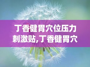 丁香健胃穴位压力刺激贴,丁香健胃穴位压力刺激贴，穴位疗法新体验