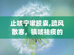 止咳宁嗽胶囊,疏风散寒，镇咳祛痰的中医药宝库