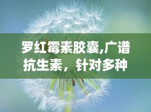 罗红霉素胶囊,广谱抗生素，针对多种感染性疾病的治疗选择