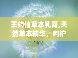 王药仙草本乳膏,天然草本精华，呵护肌肤健康之道”