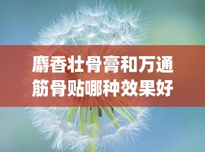 麝香壮骨膏和万通筋骨贴哪种效果好