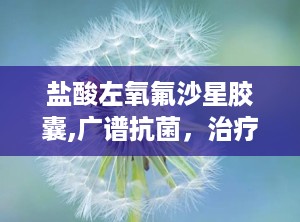 盐酸左氧氟沙星胶囊,广谱抗菌，治疗多种感染病症的处方药物