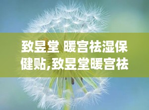 致昱堂 暖宫祛湿保健贴,致昱堂暖宫祛湿保健贴——痛经克星，暖宫养生新选择”