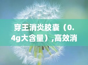 穿王消炎胶囊（0.4g大含量）,高效消炎解毒，守护健康防线
