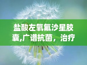 盐酸左氧氟沙星胶囊,广谱抗菌，治疗多种感染病症的处方药物