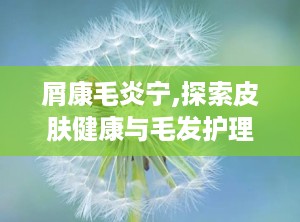 屑康毛炎宁,探索皮肤健康与毛发护理的奥秘